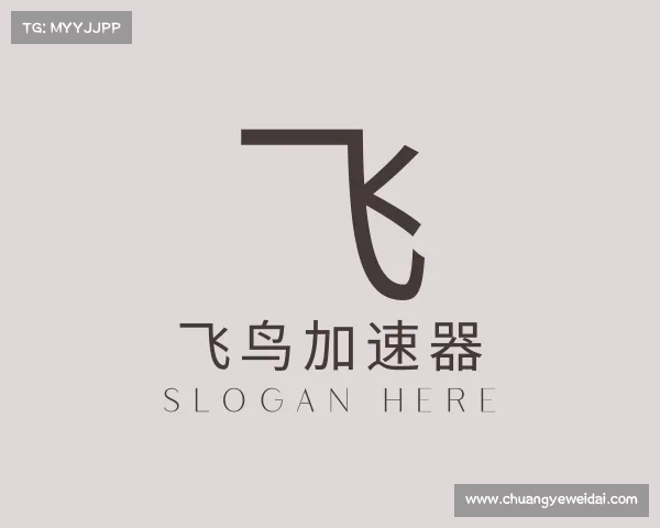 介绍飞鸟加速器